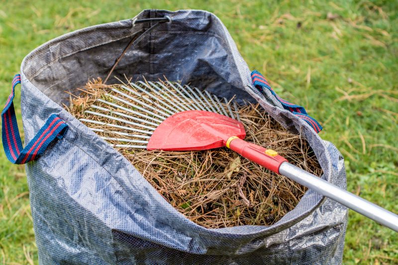 Pine Straw Raking