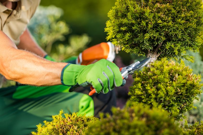Full-Service Landscaping Companies