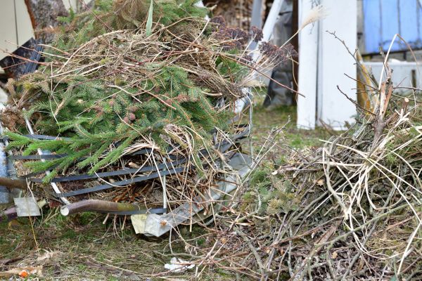 Yard Waste Removal Service in Brandon