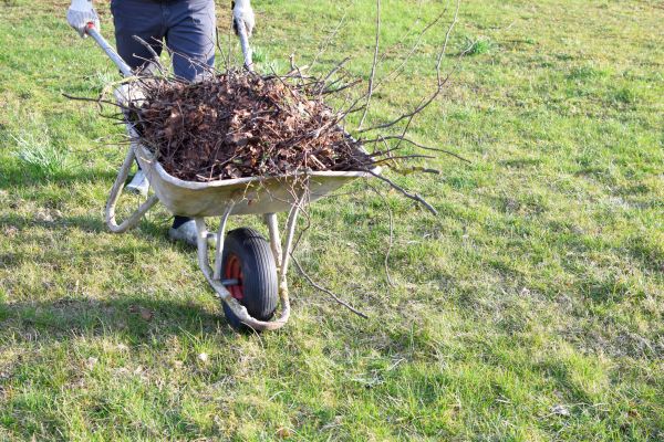 Yard Brush Removal in Brandon