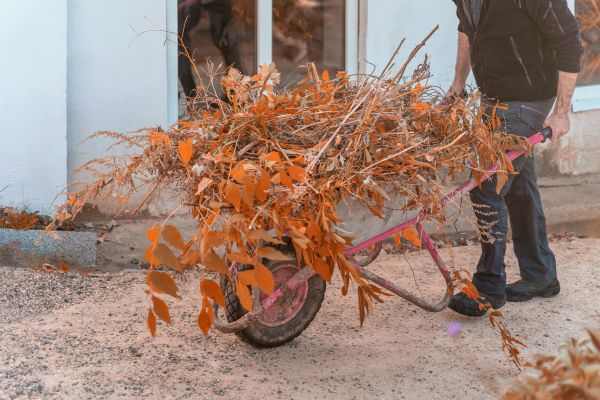 Lawn Debris Cleanup in Brandon