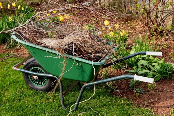Lawn Waste Removal in Brandon