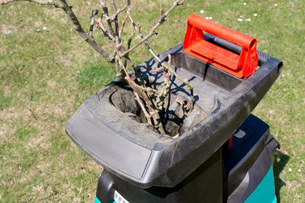 Brush Cleanup Service in Brandon