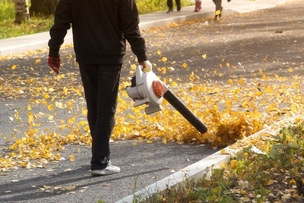 Commercial Leaf Removal in Brandon